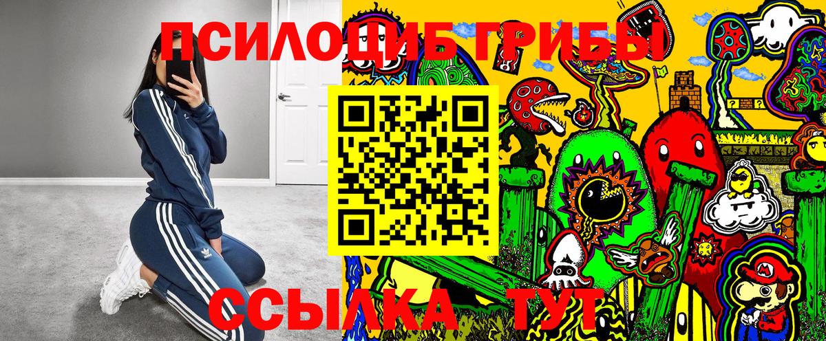 Омск  Псилоцибиновые грибы Psilocybine cubensis  Вход с VPN  Псилоцибиновые грибы Magic Shrooms 